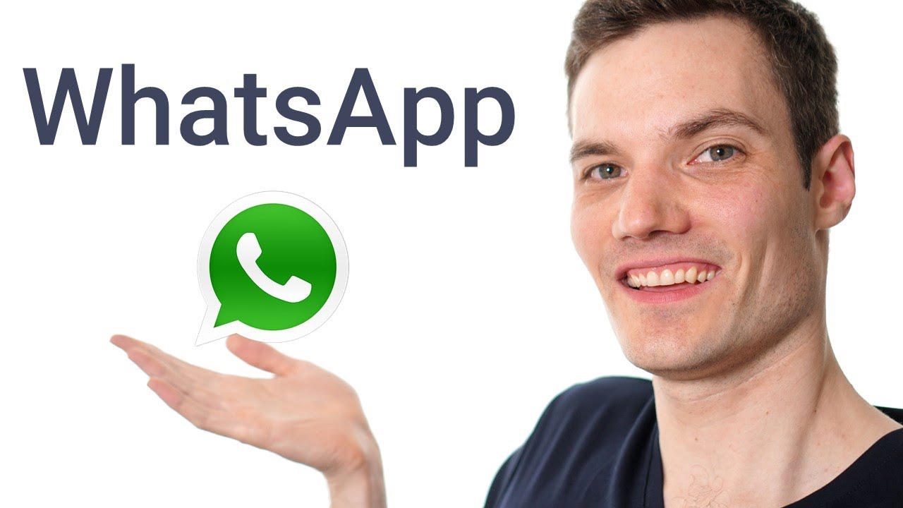 WhatsApp translation software